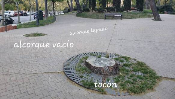 salvemos nuestros parques